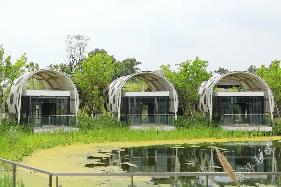 中国最好的足球主题公园,足球主题公园哪里好