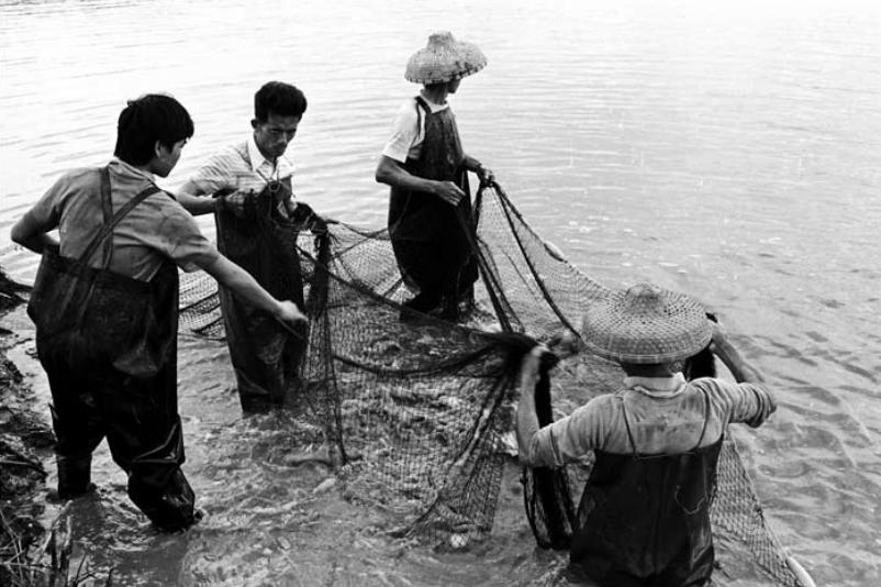 深圳厦岗文氏家族,深圳姓氏源流