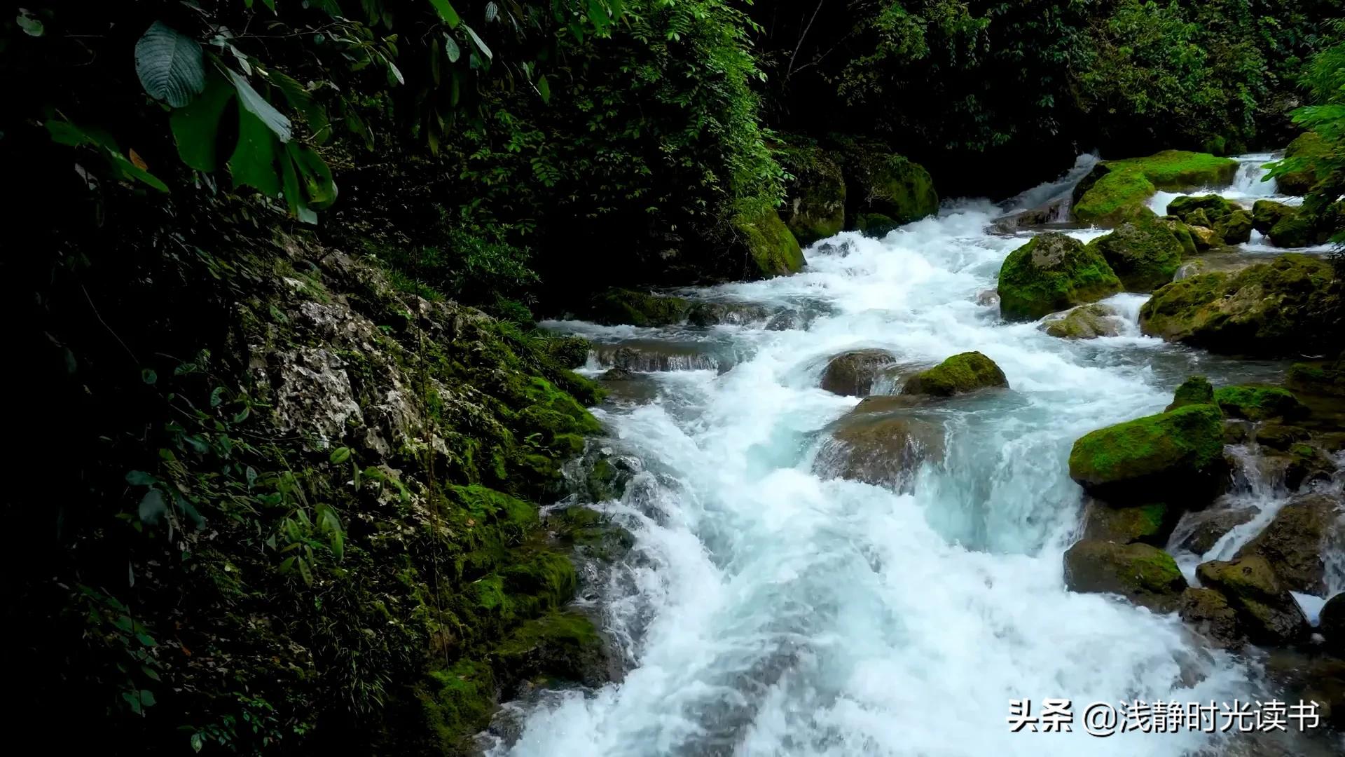 古人是如何识人和应对小人的,古人遇到小人