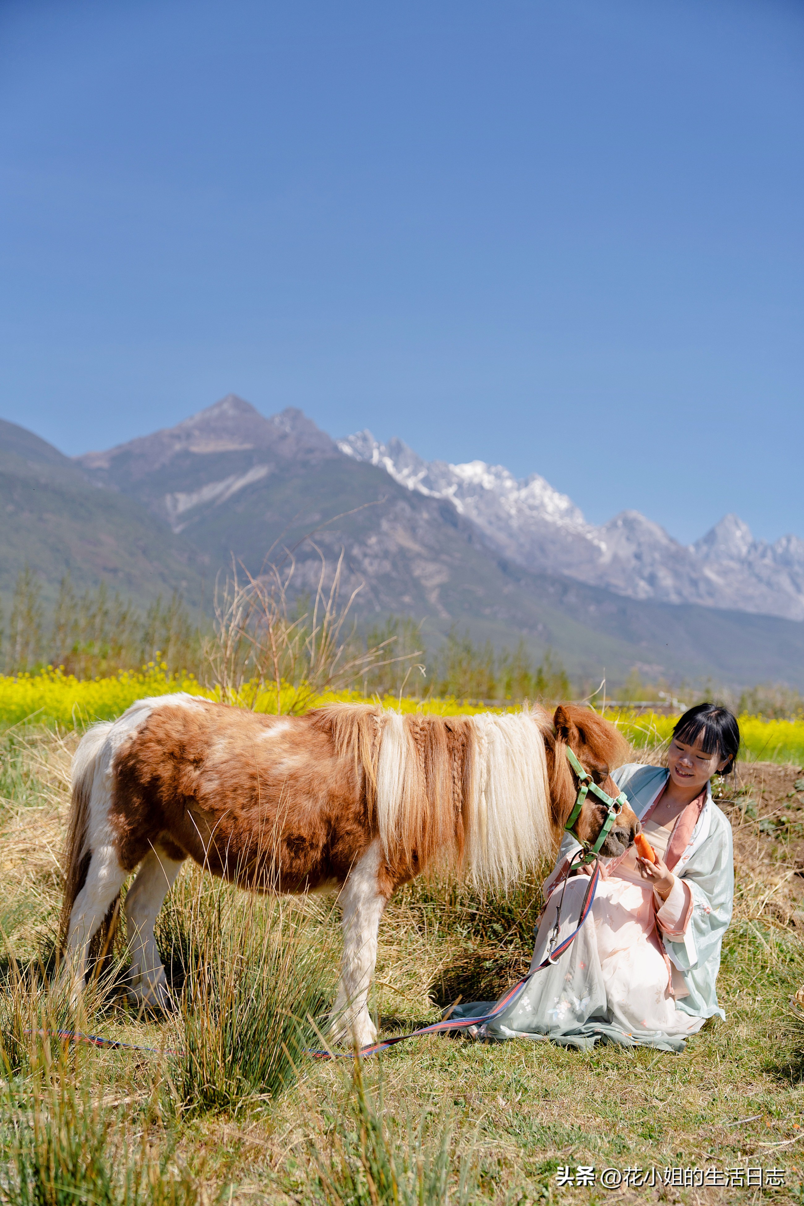 丽江束河古镇民宿价格表,丽江住一晚3000元的酒店