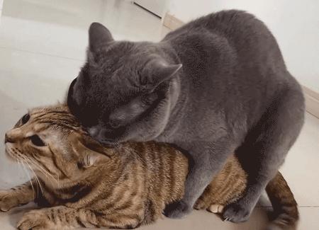 女性生理期间最怕什么,女生在生活中经常犯的错误