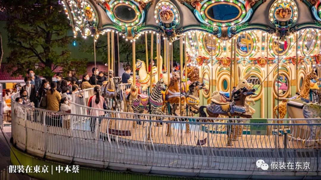 365张照片回顾,365张相片