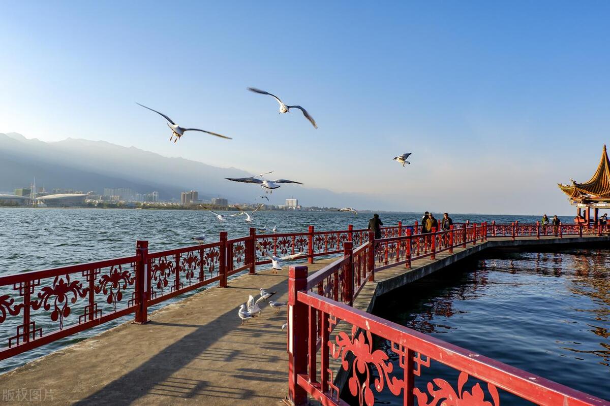 云南暑期旅游攻略近期跟团,暑假云南旅游5天全攻略自由行