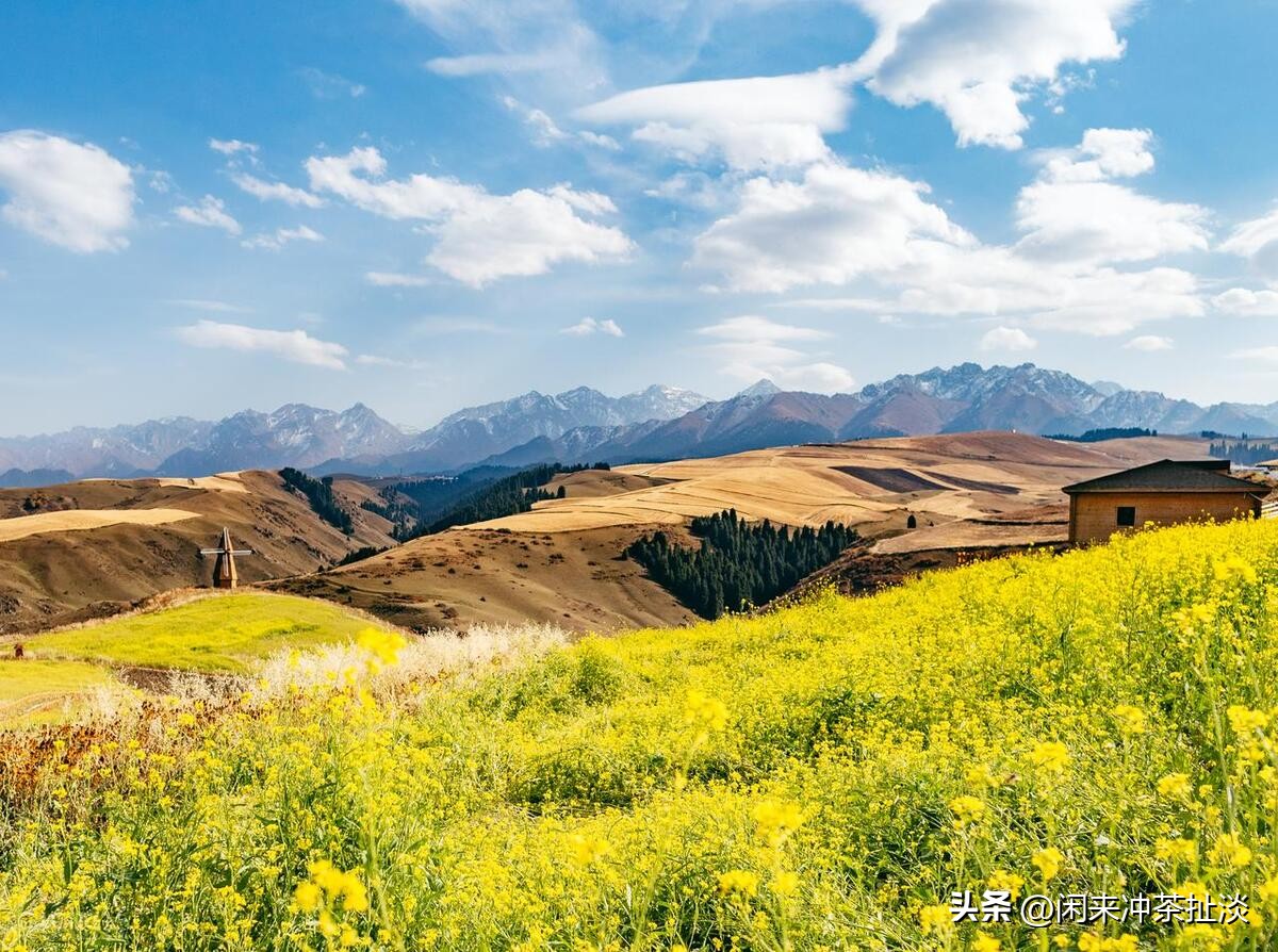 神仙的自留地,神的自留地喀纳斯