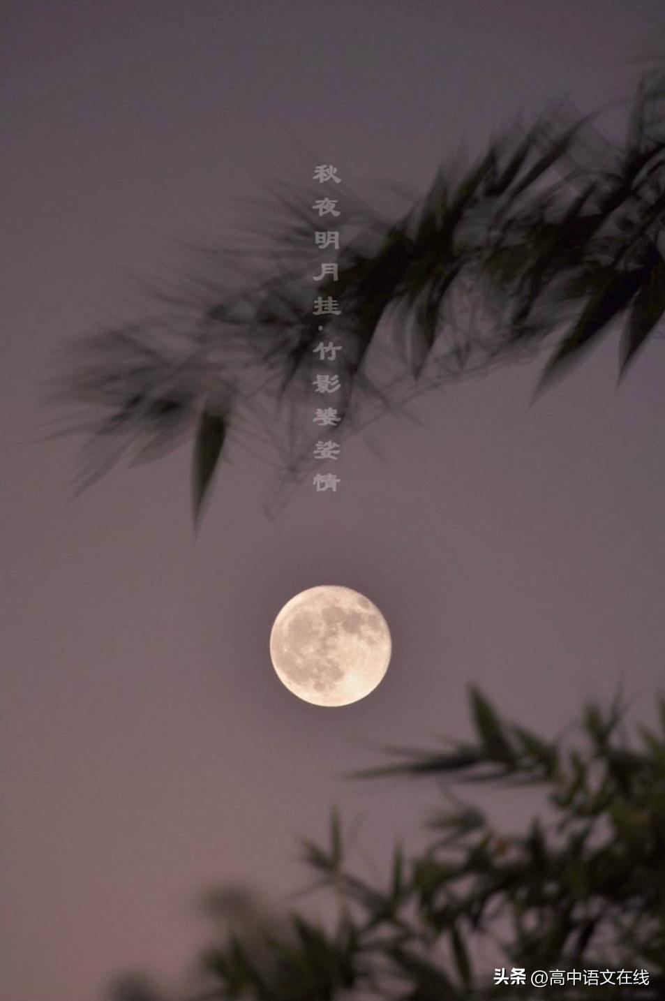 写秋月美景最好的古诗句,赞美秋月夜景的古诗词