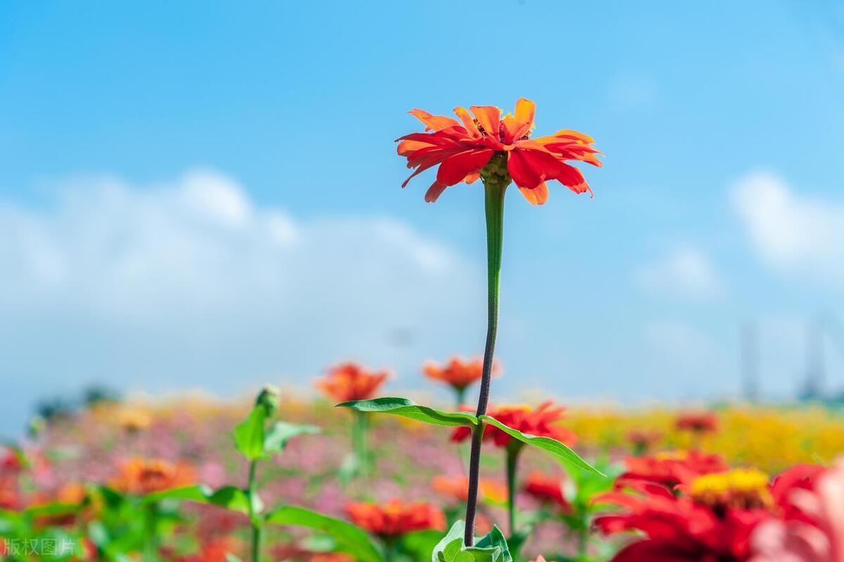 变了性格像换了一个人怎么回事,性格大变的人是怎么了