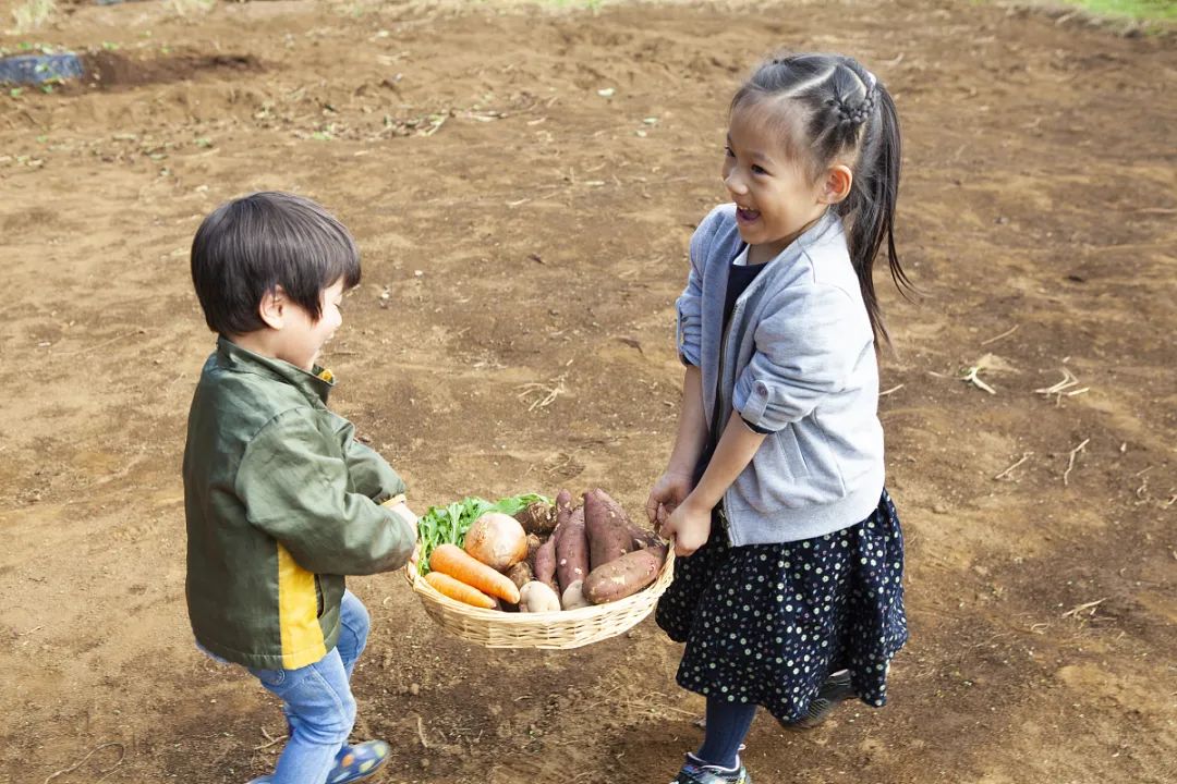 50后定居日本的真实感受,定居日本后的真实感受