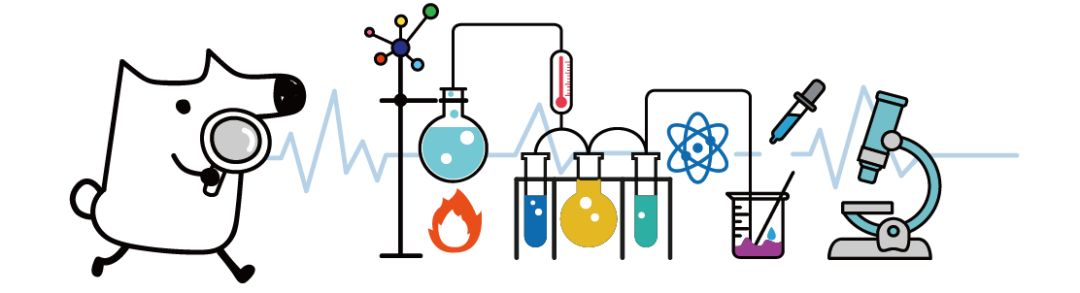 过年去海口的机票怎么买便宜,怎么买靠谱又便宜的机票