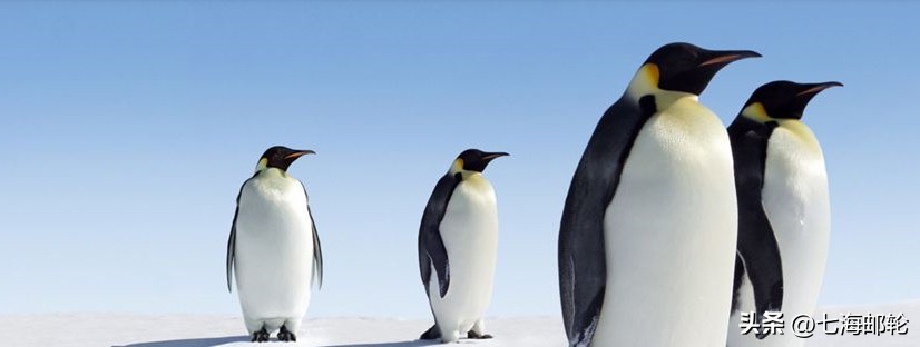 一次完美的旅行指南,一次完美的海岛之旅指南