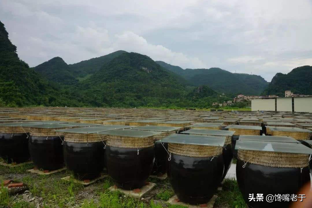 一样是酱油你会怎么选,同一款酱油广东和四川味道不一样