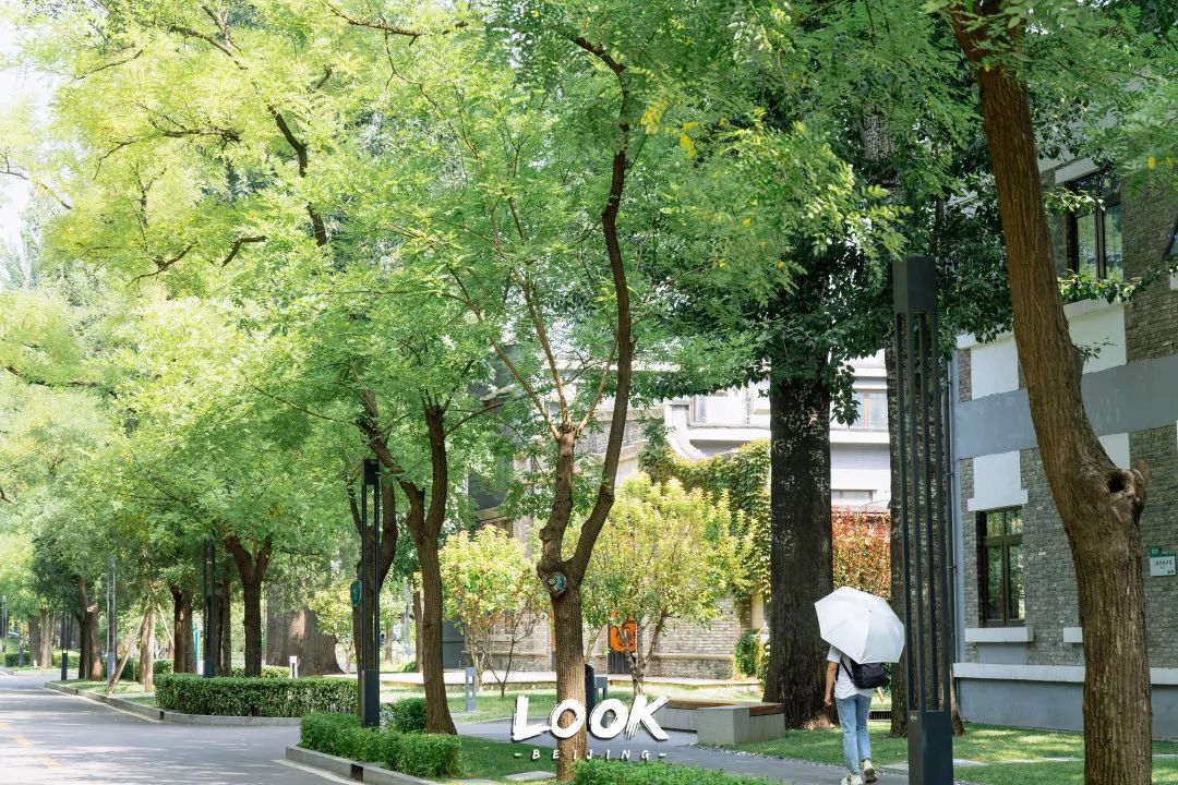 打卡500强喜爱的北京宝藏园区