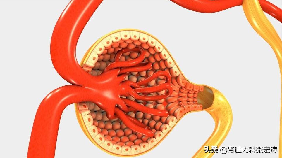 增强ct用造影剂对肾脏影响有多大,增强血管ct检查对人有伤害吗