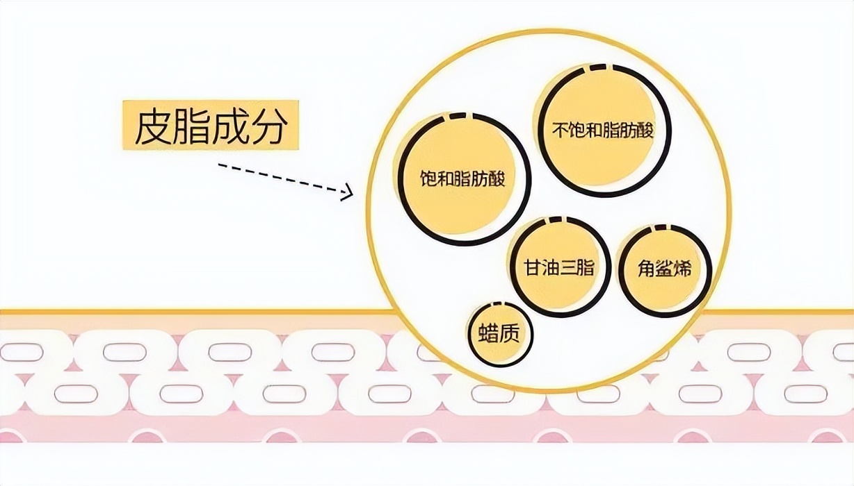 皮肤起皮用什么护肤品角鲨烷 (角鲨烷护肤效果好吗)