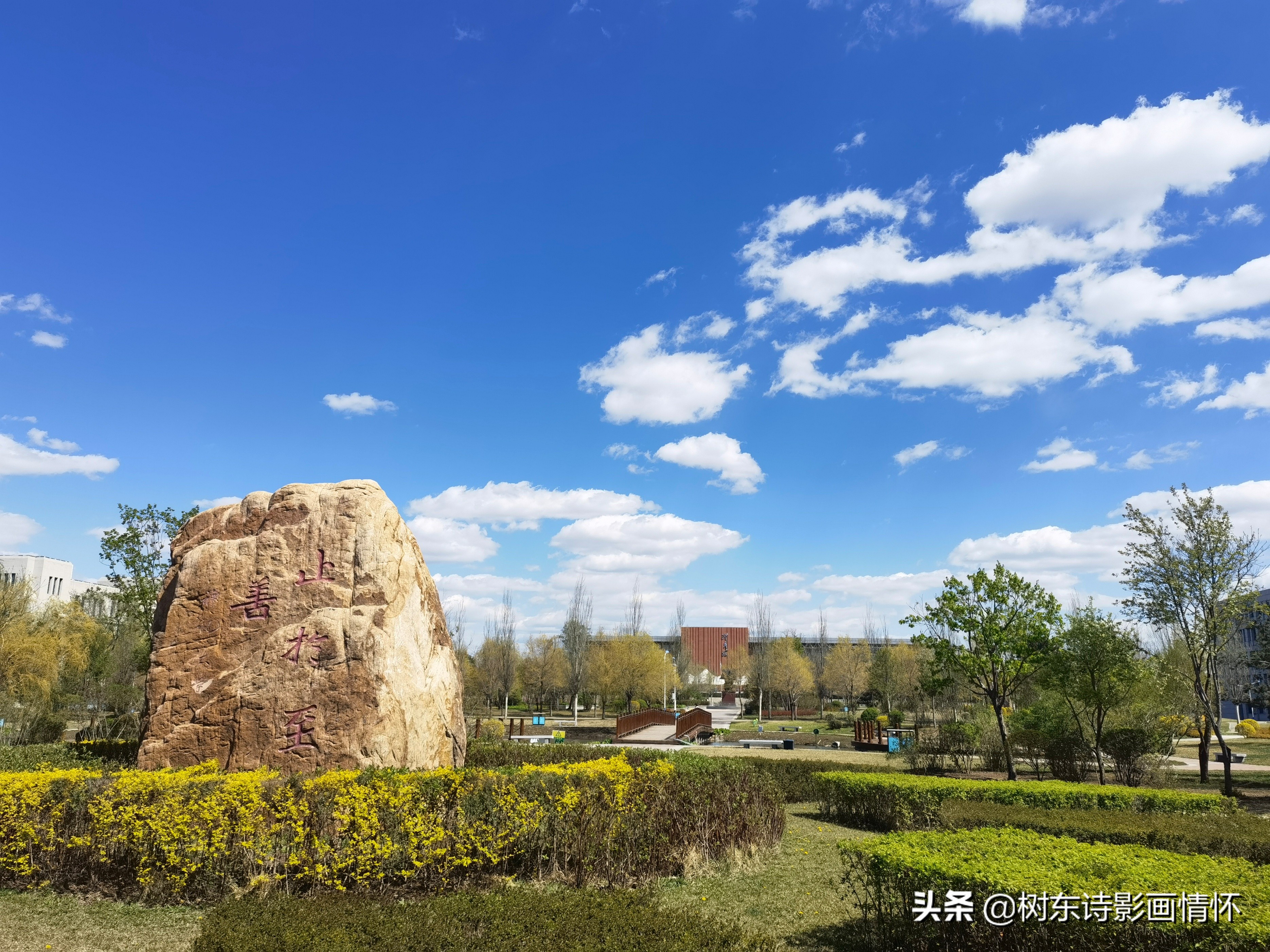 东风诗句飞花令,东风飞花令