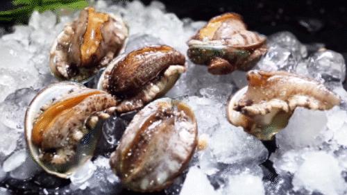 鲜海鲜吃不了放冰箱保鲜可以吗,做熟了的海鲜放冰箱里两天能吃吗