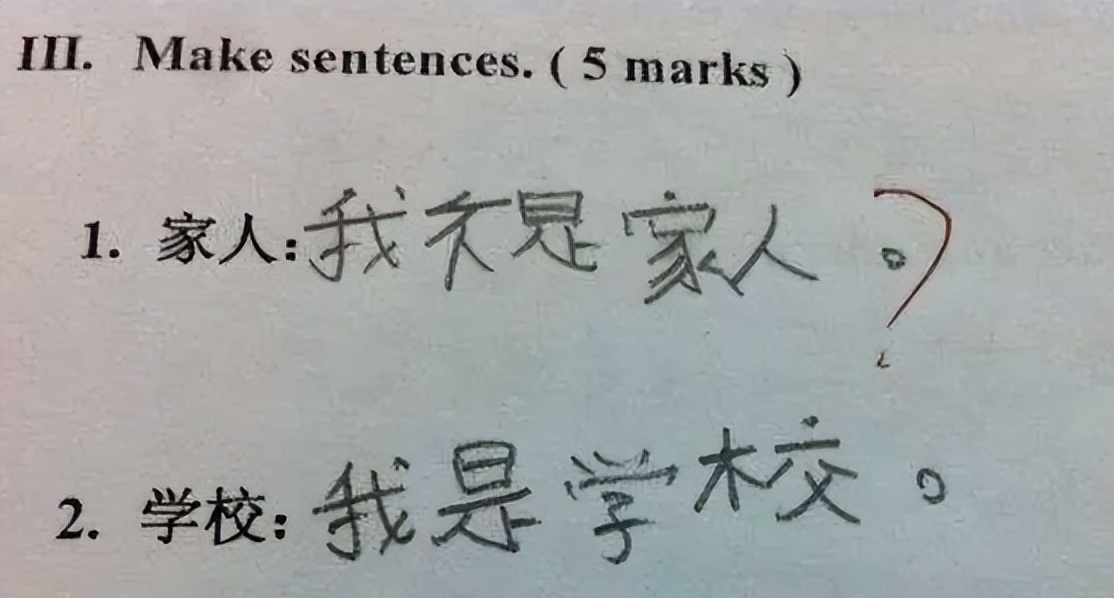 “驴唇不对马嘴”，美国“0分中文试卷”火了，网友看完笑出鹅叫