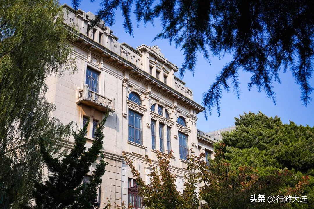 漫步银杏海~大连最美秋日在这里