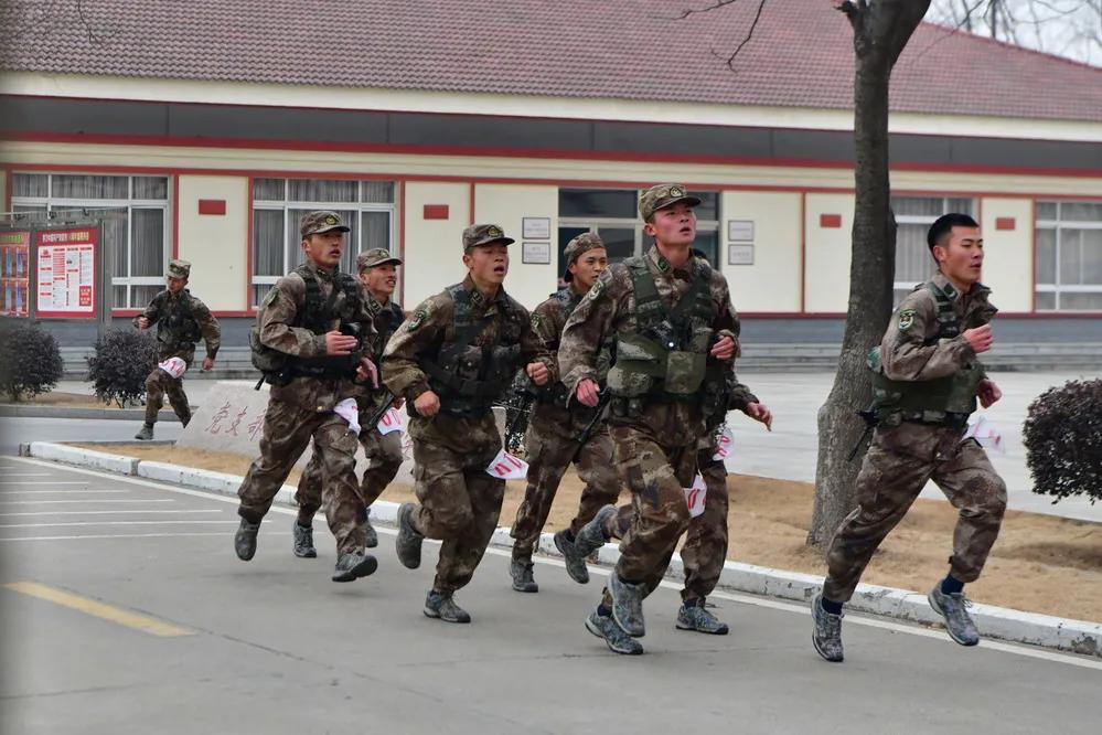 第71集团军“中野虎师”：“虎”为荣誉名，虎气霸屏！