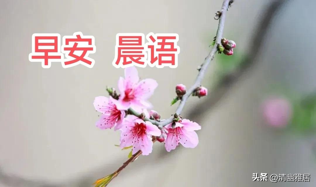 早安吉祥清晨的问候,晨语早安的句子