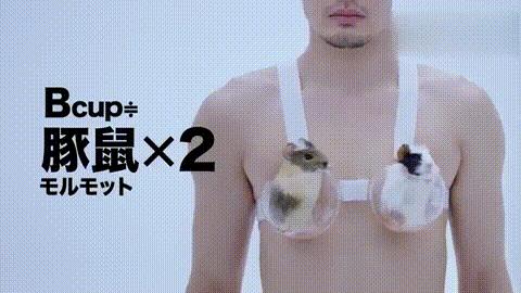 女人胸部大对身体好吗,女人胸部过大的毛病