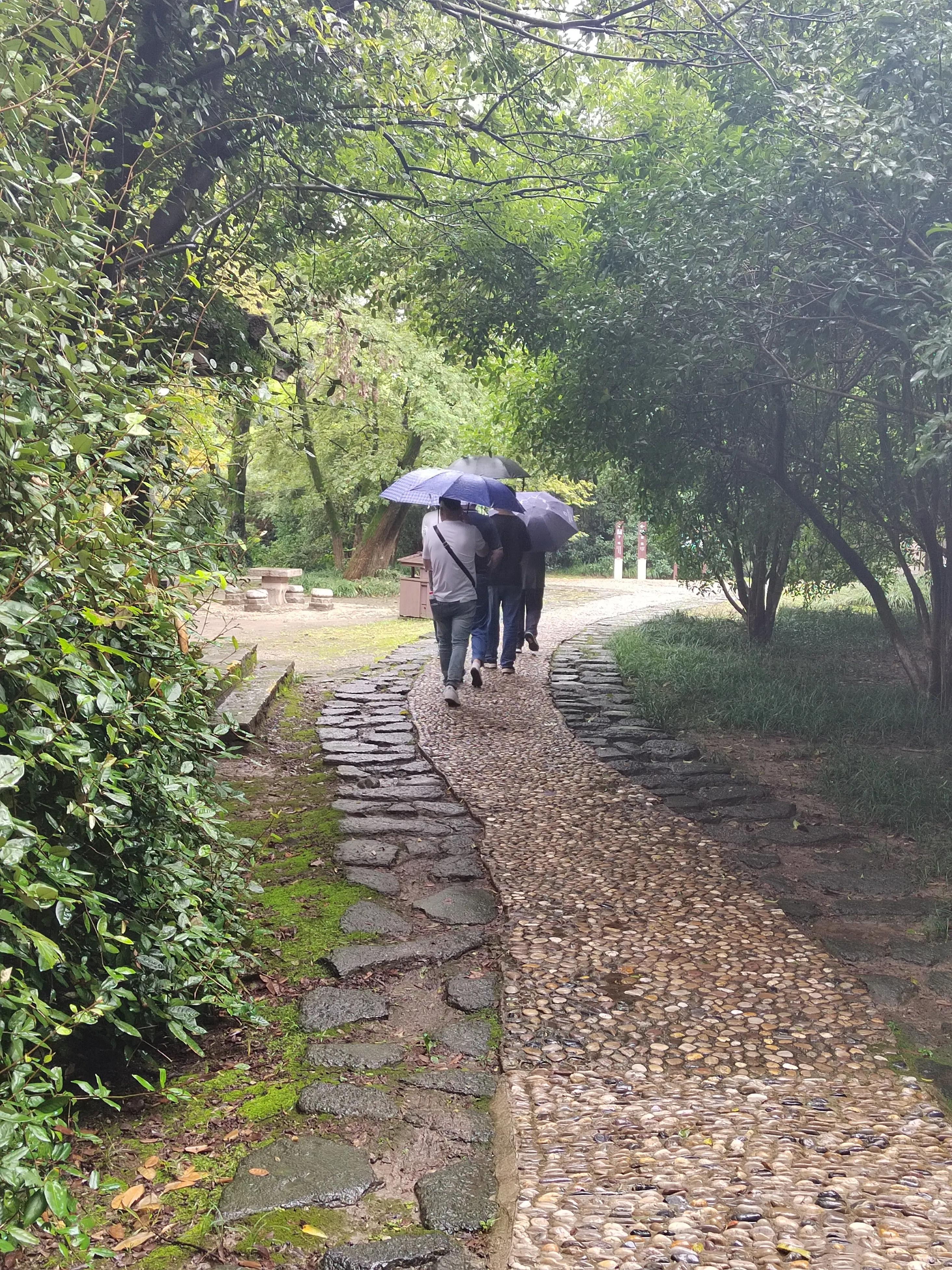 淹城是哪个省市,淹城动物园旅游攻略