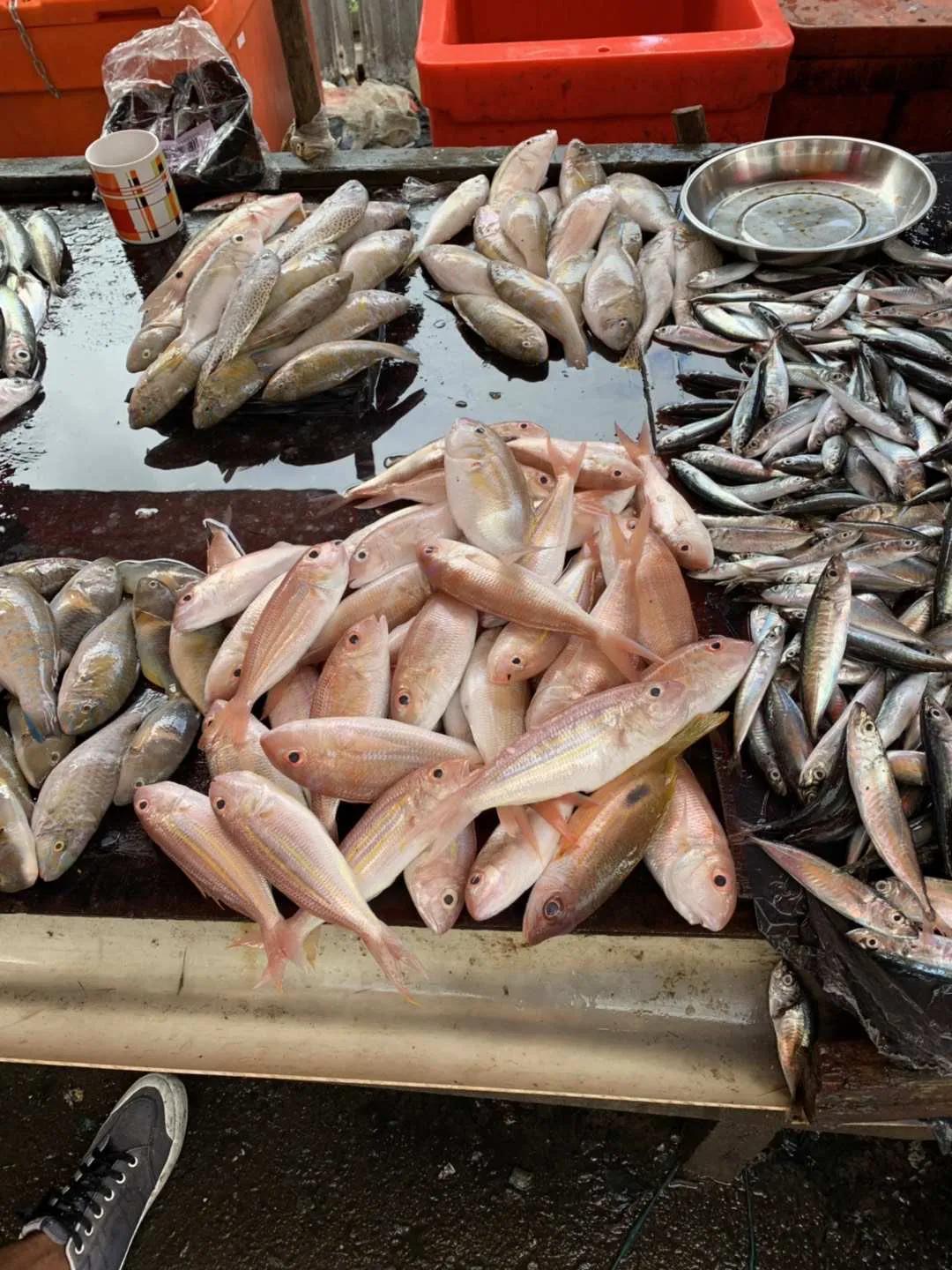 东南亚风情美丽的仙本那海岛,旅途中的风景迷人