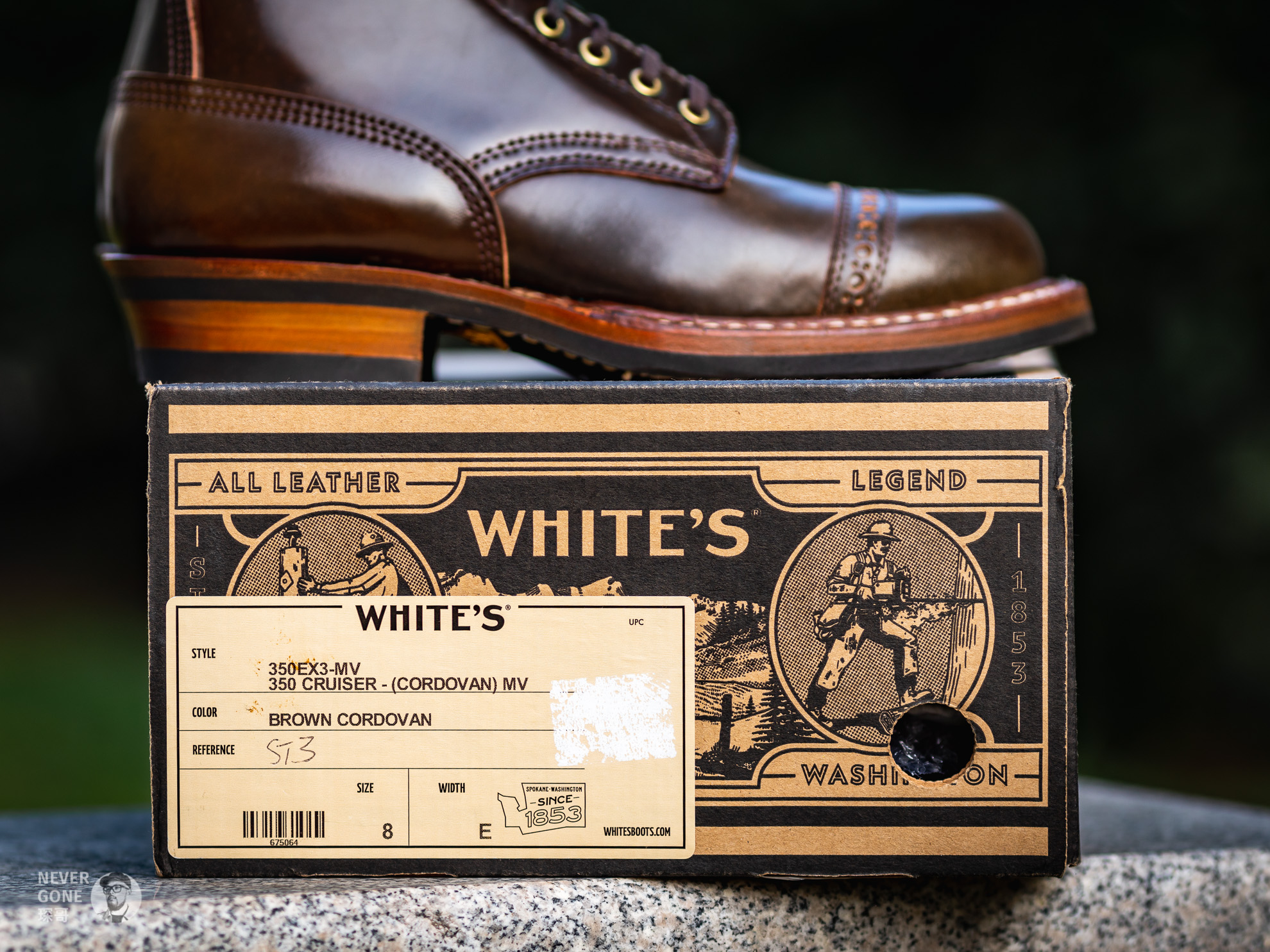 回到最初的梦想视频,回到最初的梦想爵士