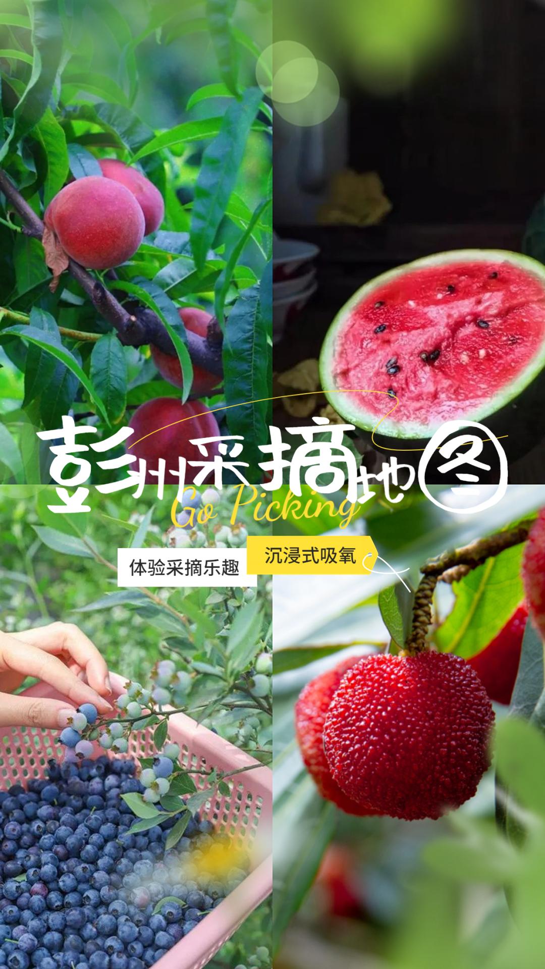 “min”甜爆汁！西瓜、蓝莓、桃子......彭州今夏水果新鲜开摘喽