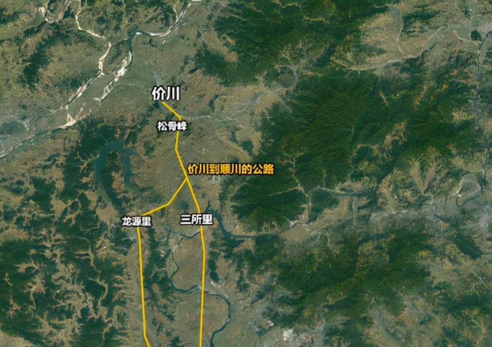 解放军113师简介,解放军113部队