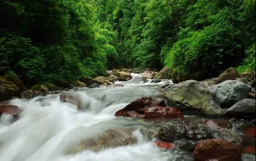 峨边黑竹沟篝火晚会,火把节彝族打歌展演