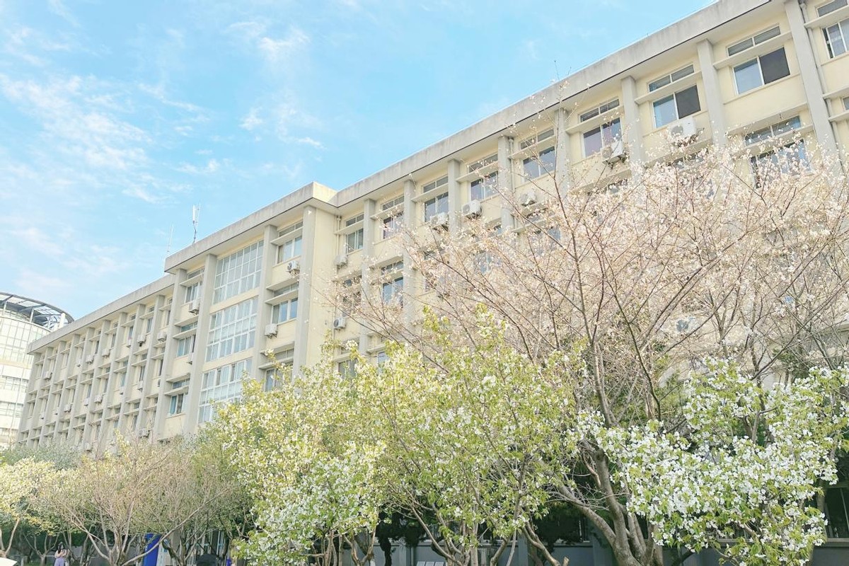 华中师大数学专业厉害吗,看似冷门的大学