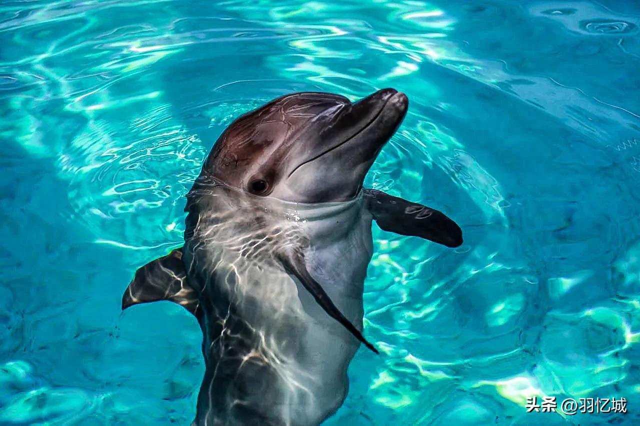 新加坡攻略超详细,新加坡宝藏旅游地推荐