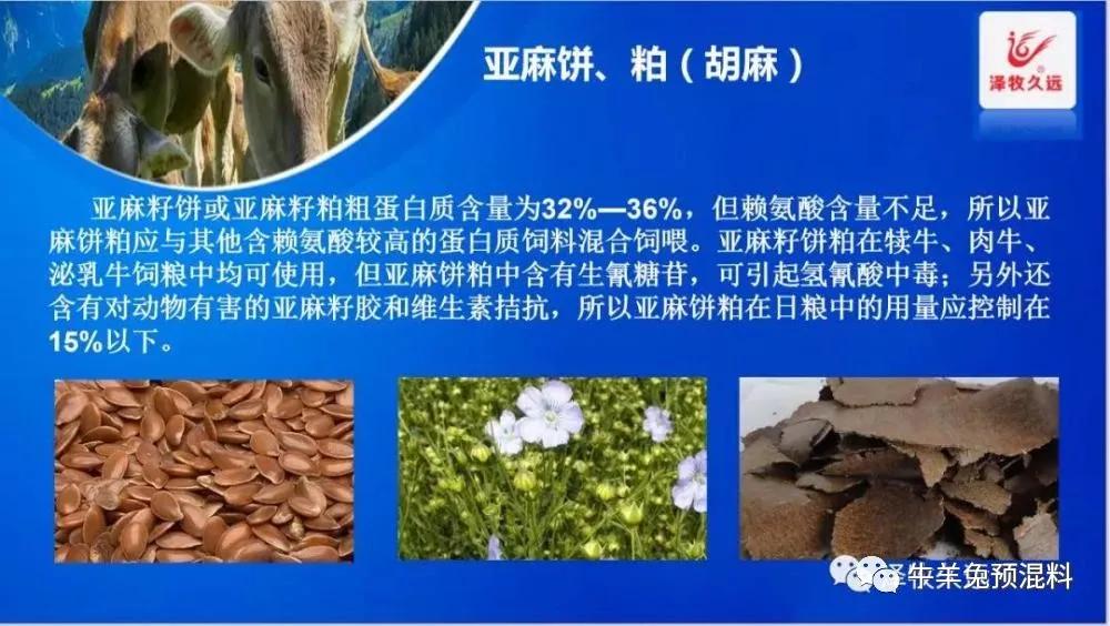 豆粕成本价格计算公式,豆粕上涨养猪的能提价吗