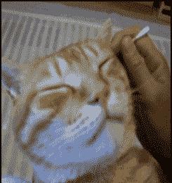 20岁耳朵边长毛是什么原因,二十几岁男生耳朵长毛