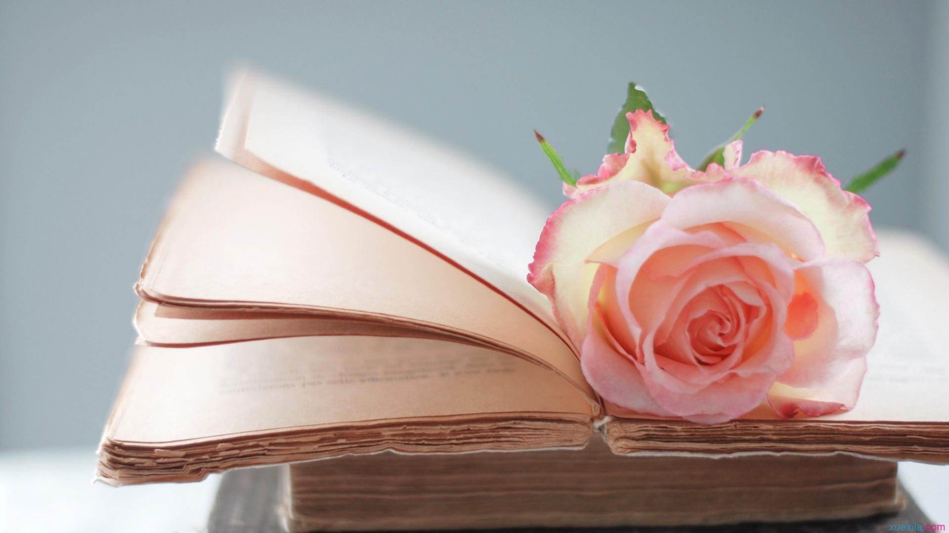 不喜欢但适合结婚的人,喜欢但不合适能结婚吗