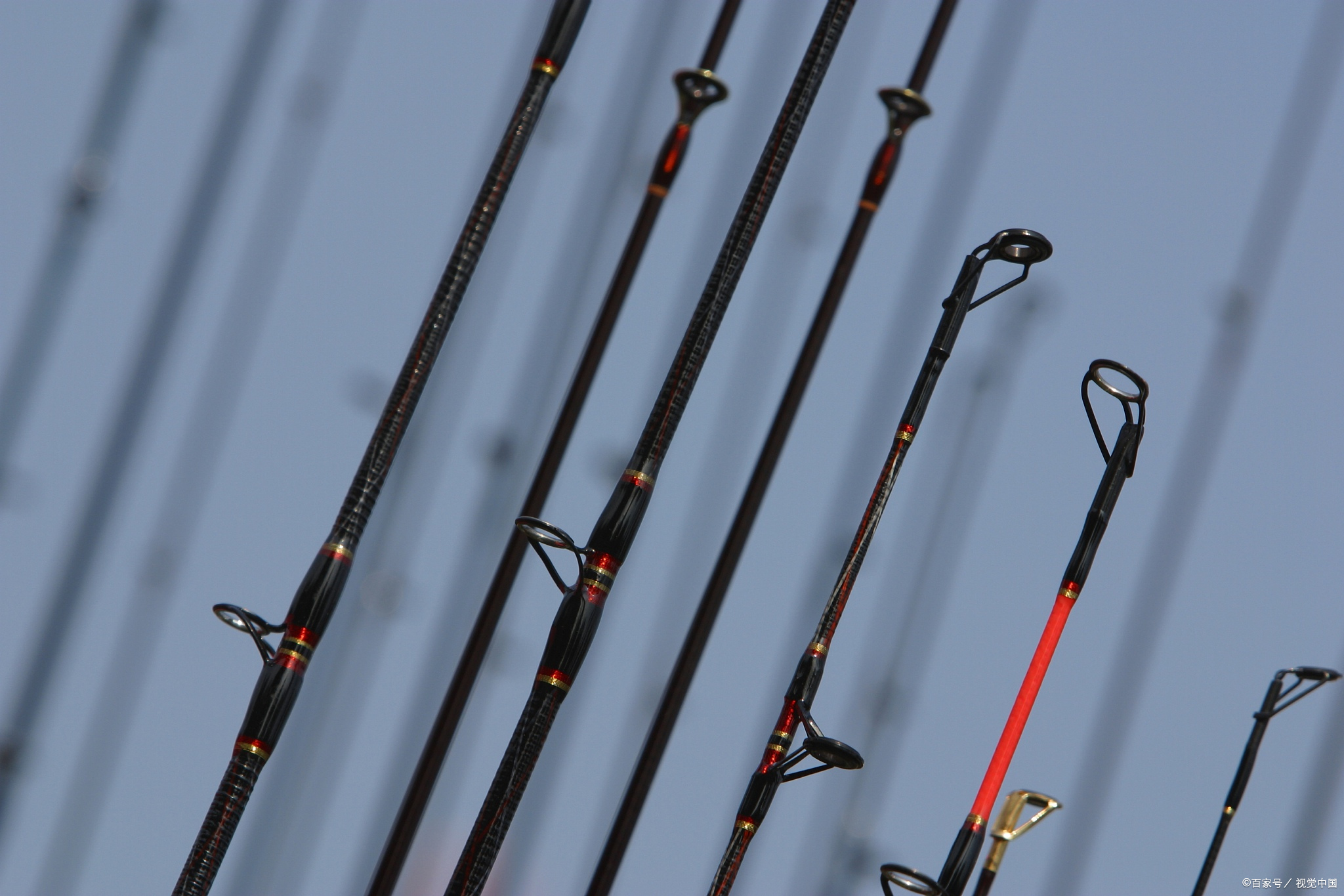 威海威环渔具有限公司鱼竿,威海威渔坊钓具有限公司