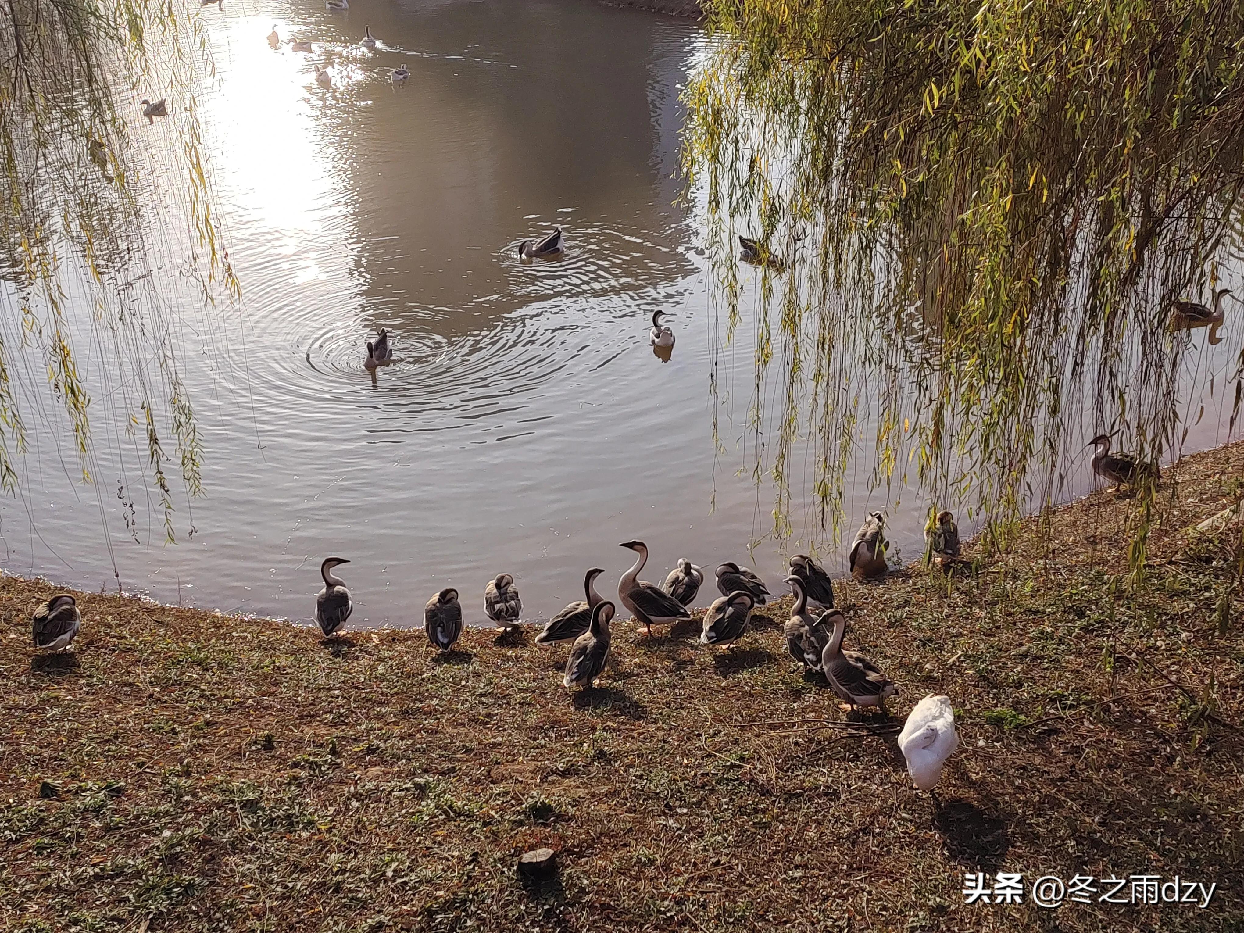 南昌舰主题园凤凰洲湿地公园,凤凰洲建军广场