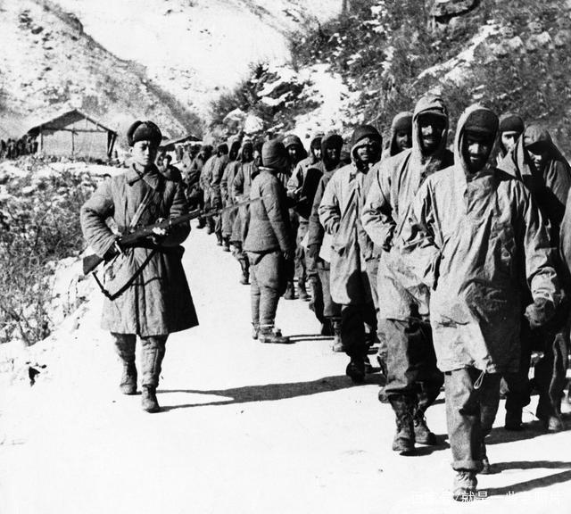 德国军事专家分析志愿军实力,德国专家对中国军人看法