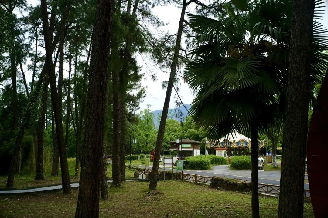 浙江市区度假酒店推荐,浙江轻奢酒店值得推荐