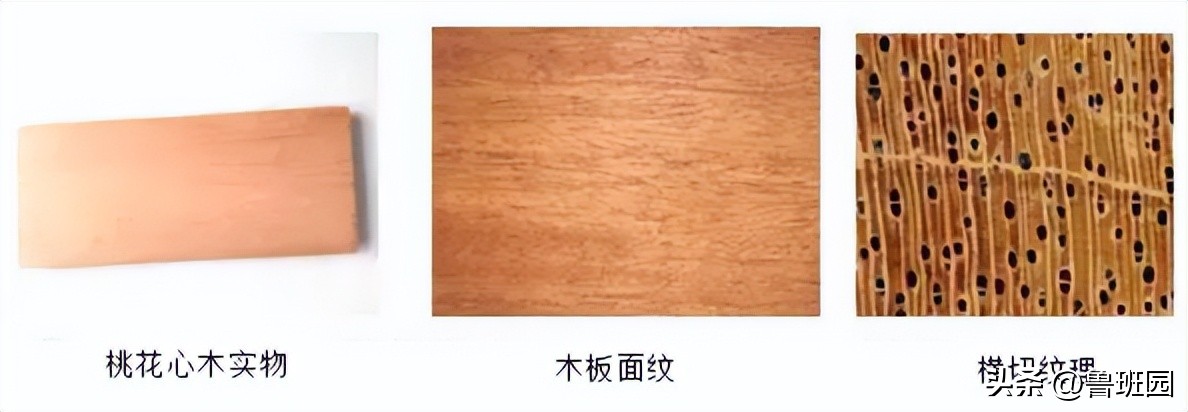 桃花心木的深度分析,桃花心木如何区别真的假的