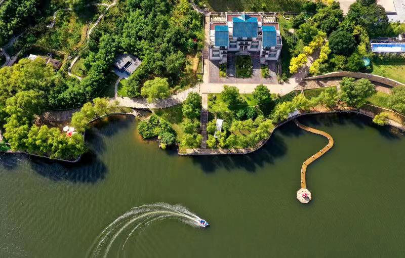 智库|“齐鲁之心”虹吸资源乡村振兴再出发