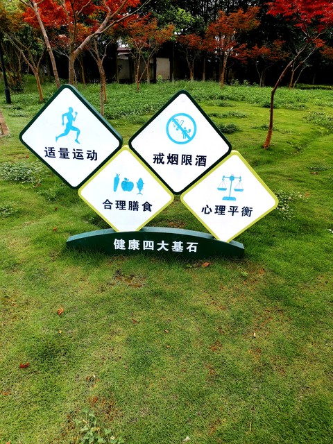 养生与药物的区别,养生预防大于治疗