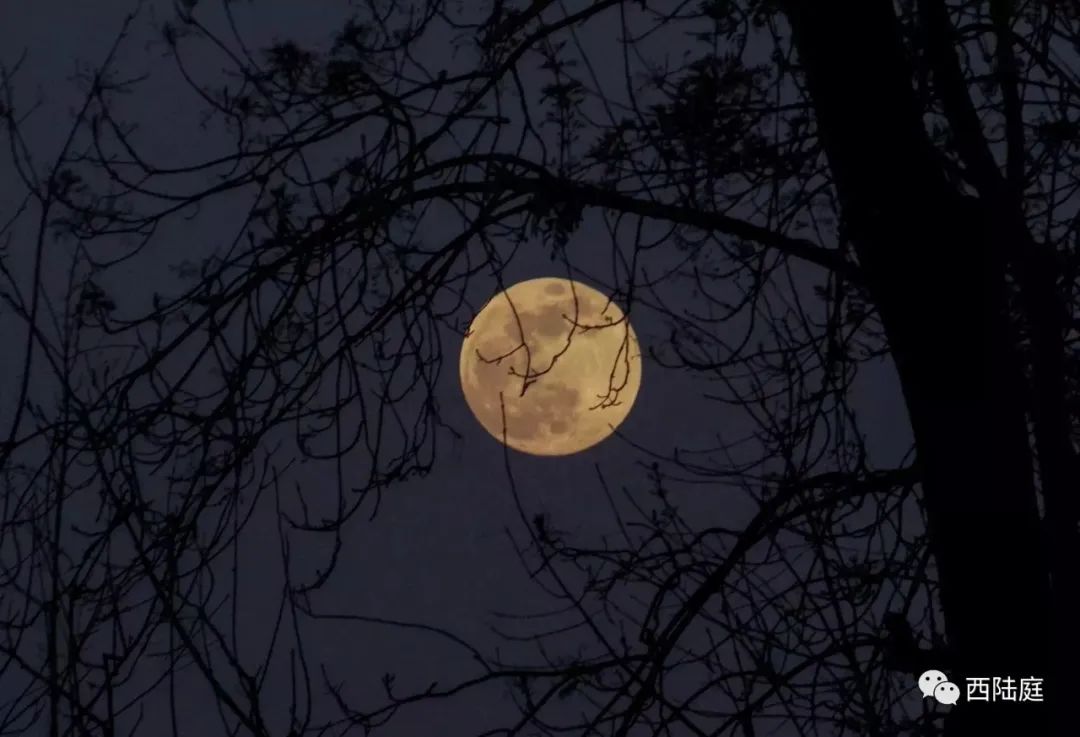 中国鬼神文化的构成要素,鬼神文化的现实意义