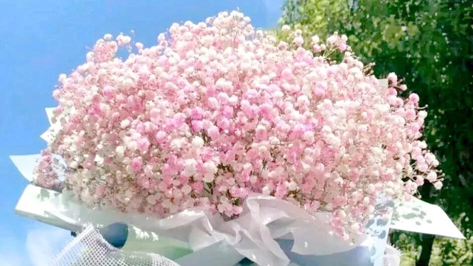 你喜欢的花的花语又是什么,你最喜欢哪朵花的花语