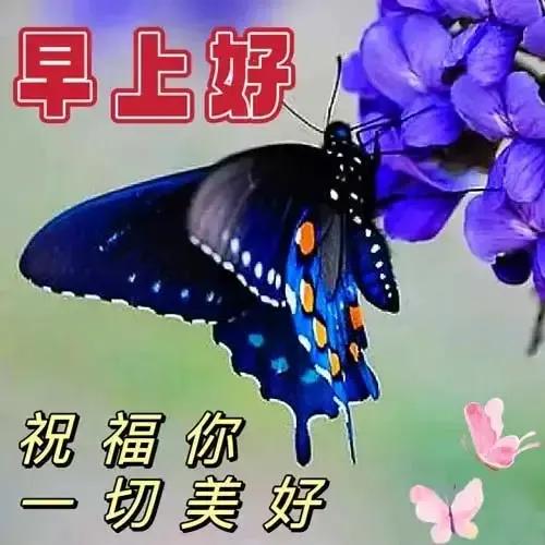 2023年02月27日星期一农历:癸卯年【兔年】二月初八八九第5天