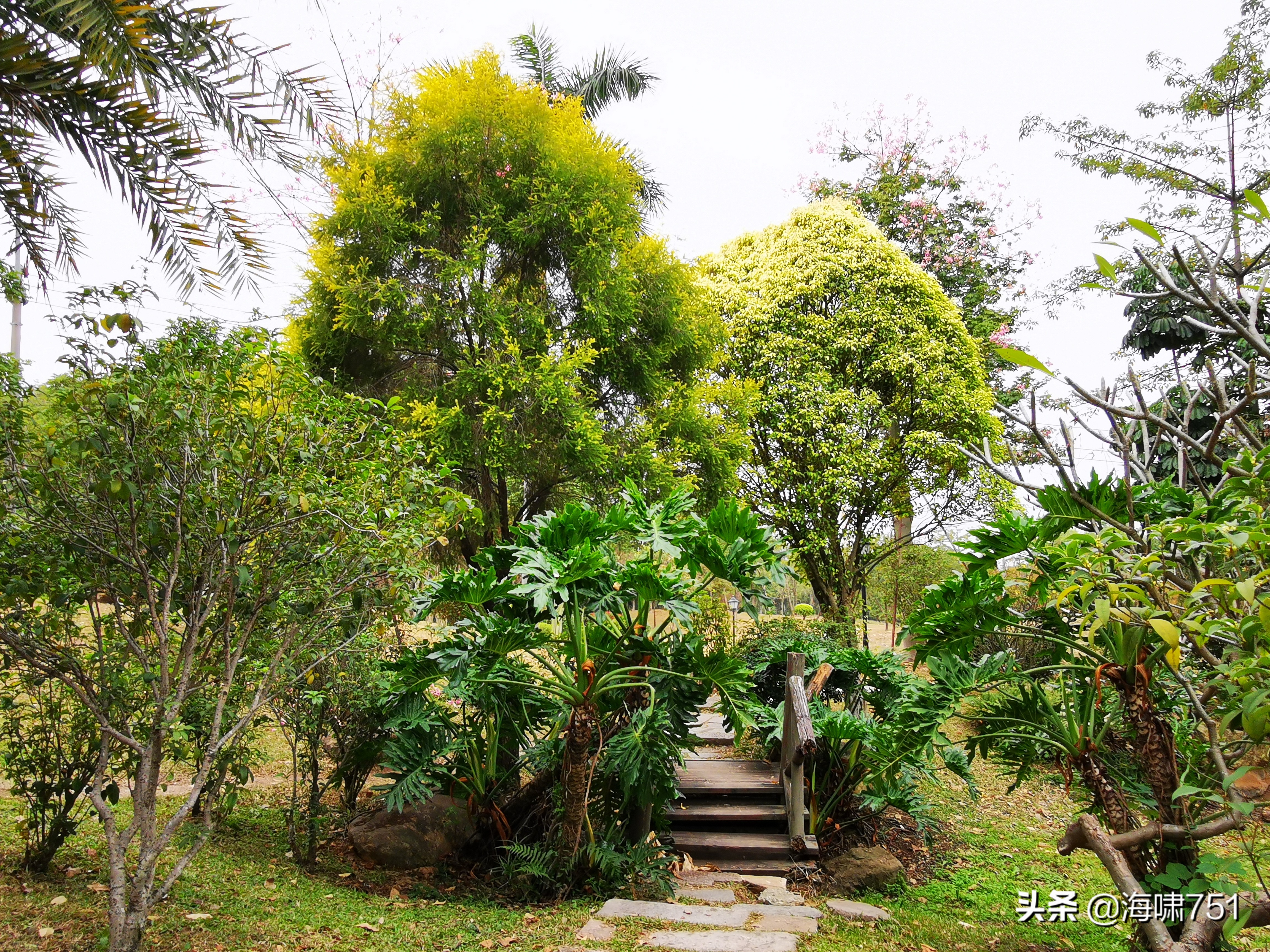 陈田花园全景图,陈田花园照片