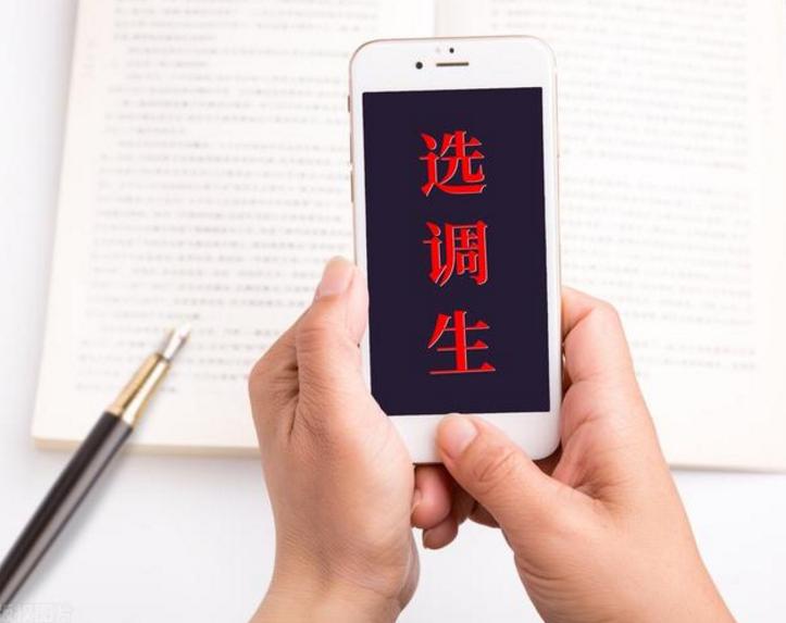 湖北定向选调生研究生待遇,湖北省2024年选调生入选高校名单