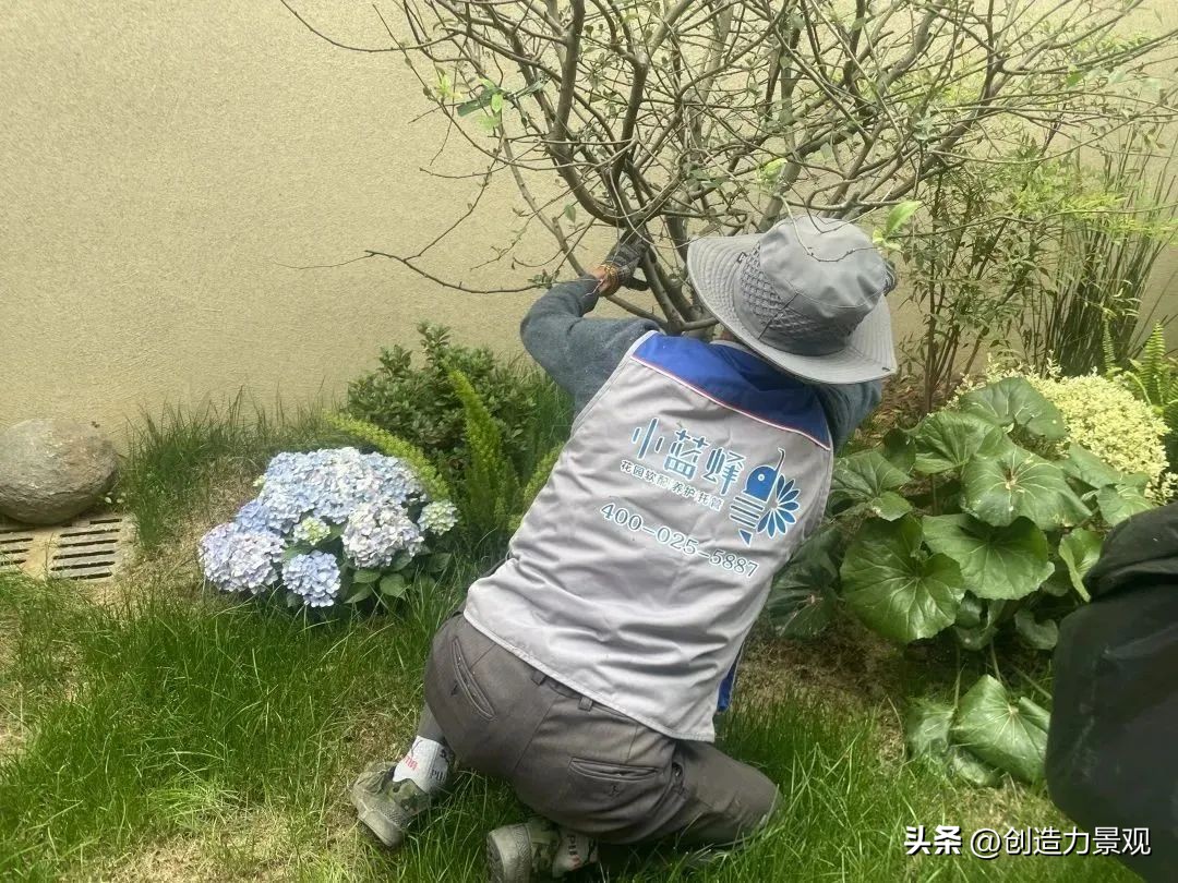 “满园春色”老客户回访日——最美人间四月天，不负*光春**不负你