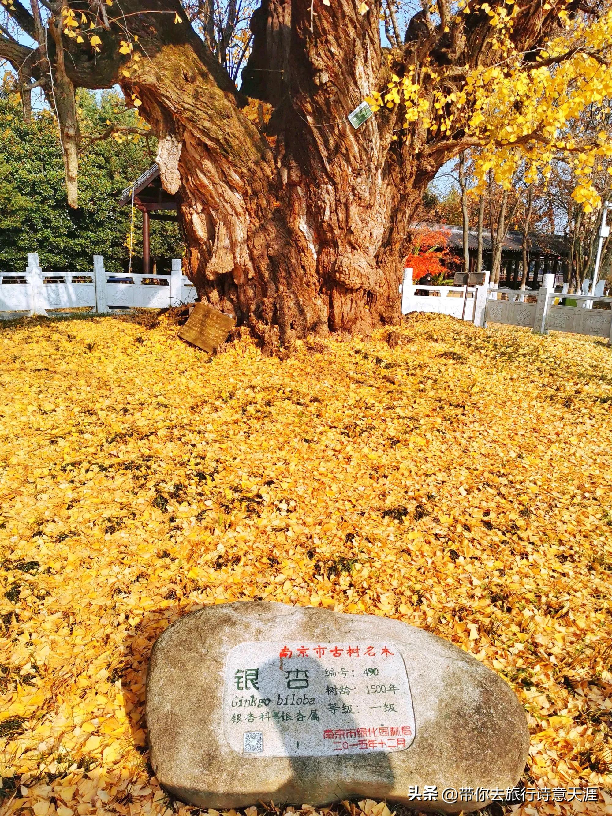 南京小众旅游景点攻略,南京小众景点古村落