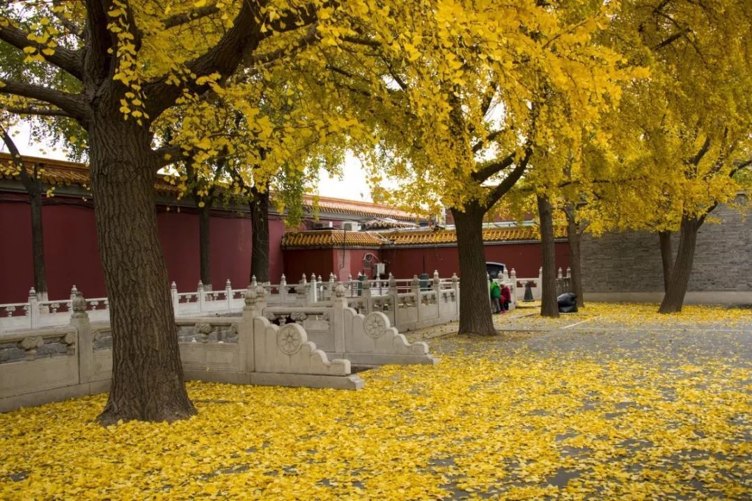 内蒙古游乐园大全,内蒙古游乐园哪里好